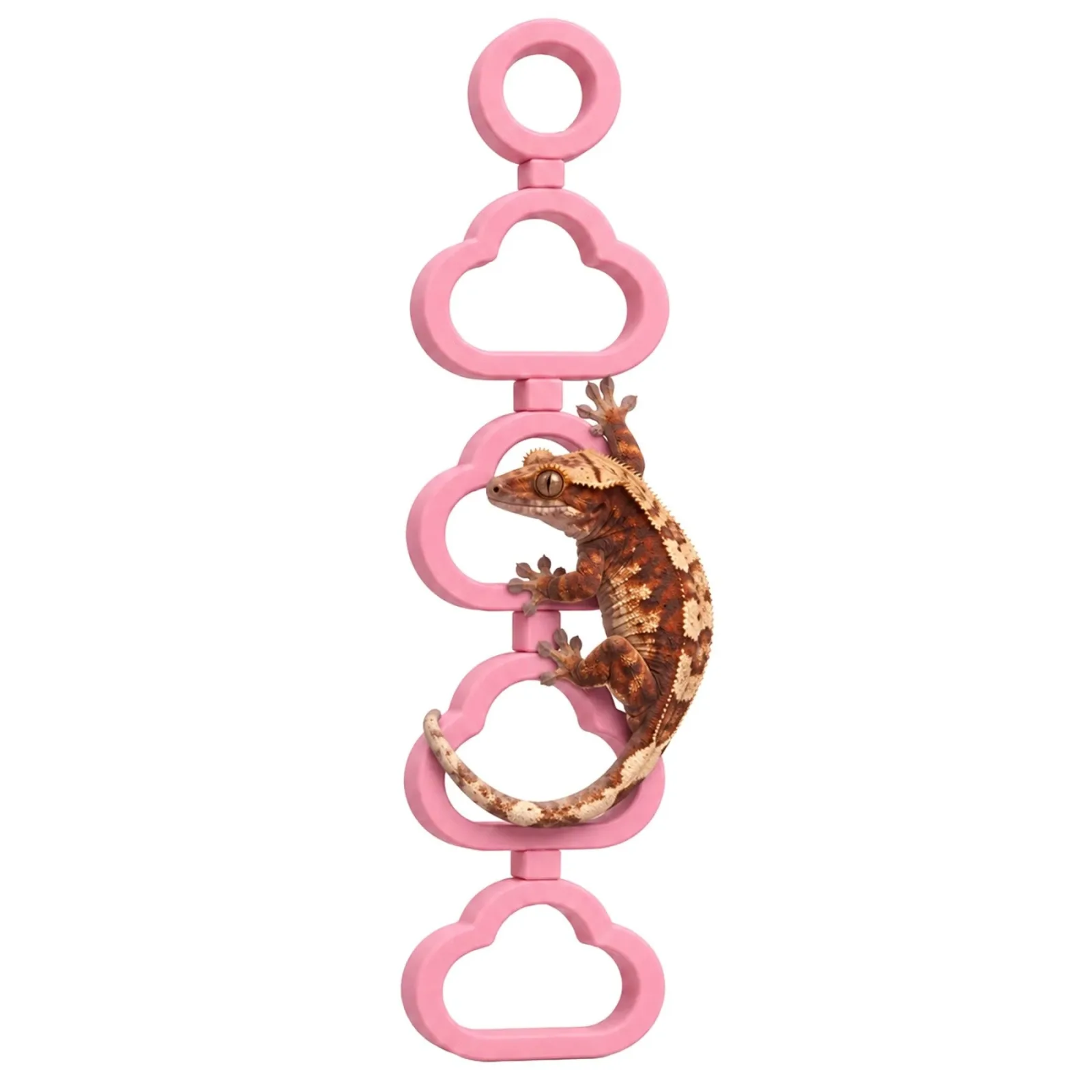 Climb Clouds 鈥?Rotating Gecko Terrarium Decor