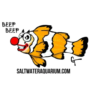 CLOWN Fish SaltwaterAquarium.com Sticker (FREE OVER $50) - SAQ.com