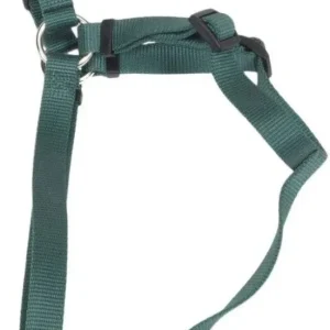 Coastal Pet Comfort Wrap Dog Harness - Hunter Green