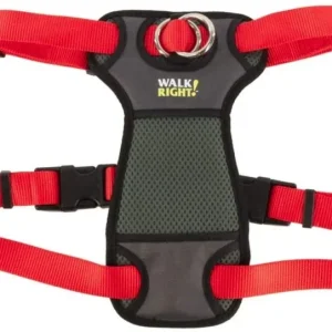 Coastal Pet Walk Right Padded Dog Harness Red