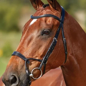 Collegiate® ComFiTec™ Training Bridle