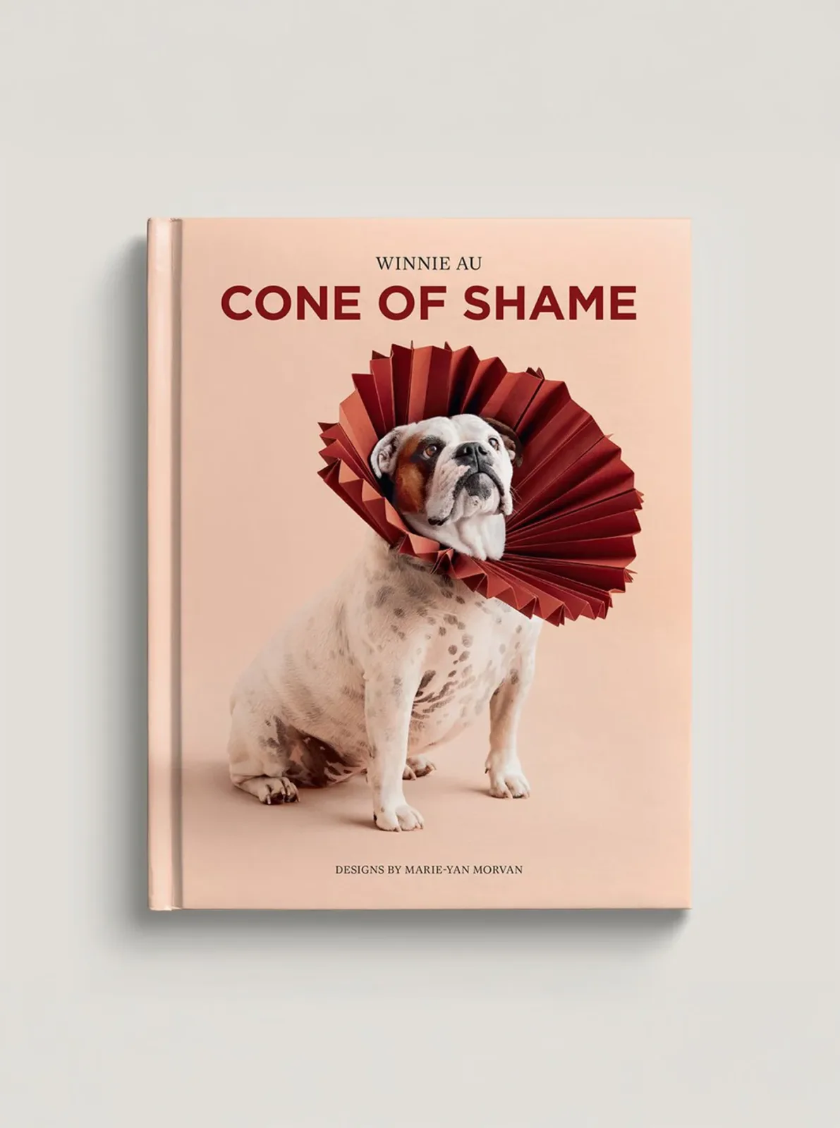 CONE OF SHAME: WINNIE AU BOOK
