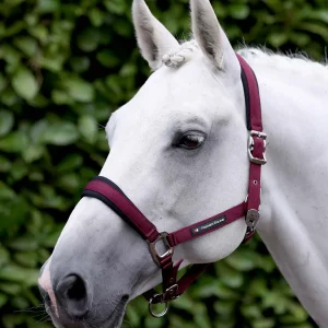 Corda Padded Head Collar with Lead Rope Burgundy