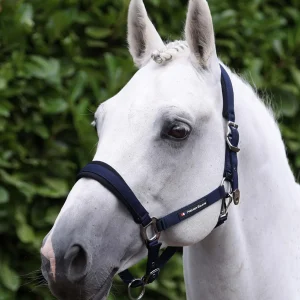 Corda Padded Head Collar with Lead Rope Navy