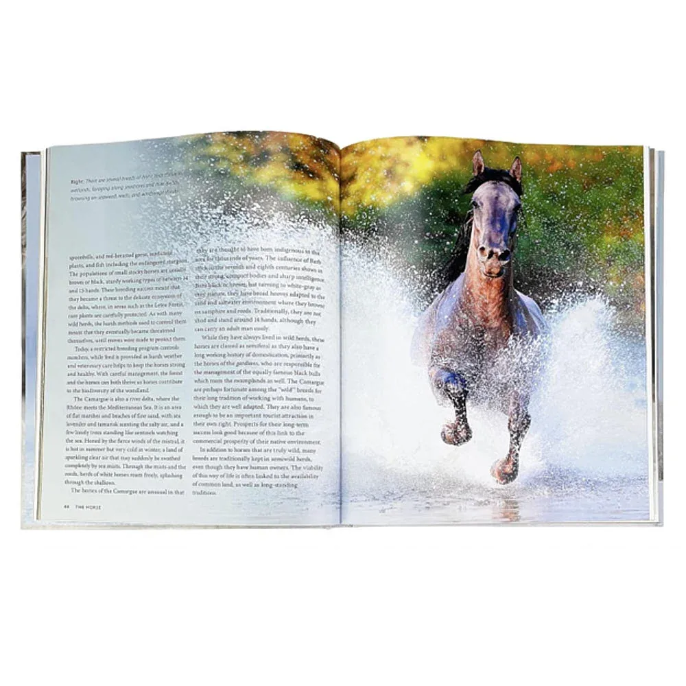 Cottage Door Press The Horse Book - Image 2