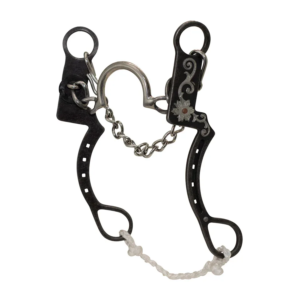 Cowboy Tack Desert Rose Horseshoe C Ported Chain Shank Bit