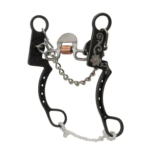 Cowboy Tack Desert Rose Horseshoe Spoon Chain Shank Bit
