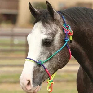 Cowboy Tack Rainbow Rope Halter