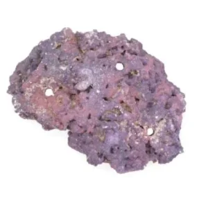 Create-A-Scape LifeRock Triple Hole Base Rock, 1 Pack - Caribsea