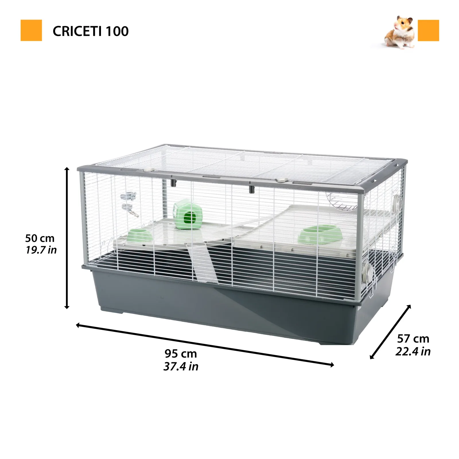 CRICETI 100 - Image 2
