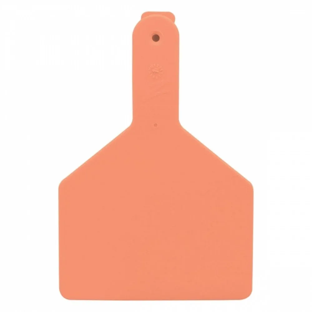 Datamars Z Tags 1-piece Orange Blank Cow Tag 100pk