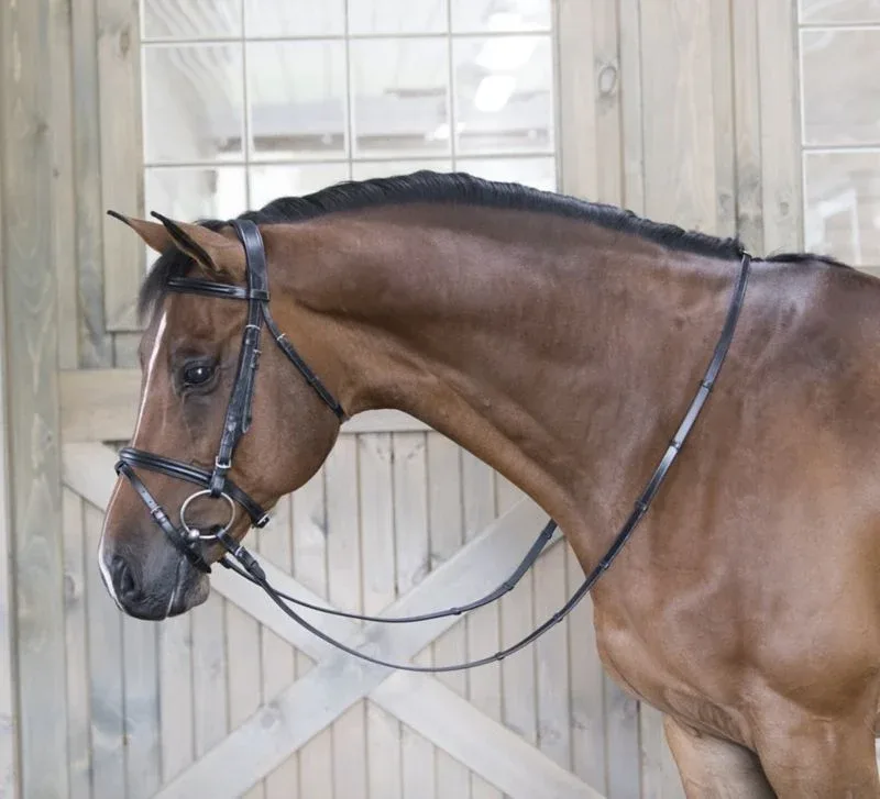 DaVinci Raise Comfort Dressage Bridle/Flash - Image 2