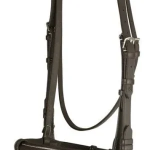 DaVinci Raise Event/Drsge Combo Bridle