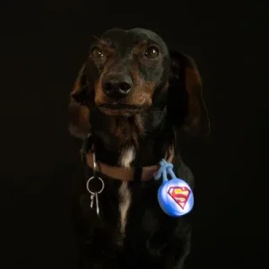 DC Superman Collar Light