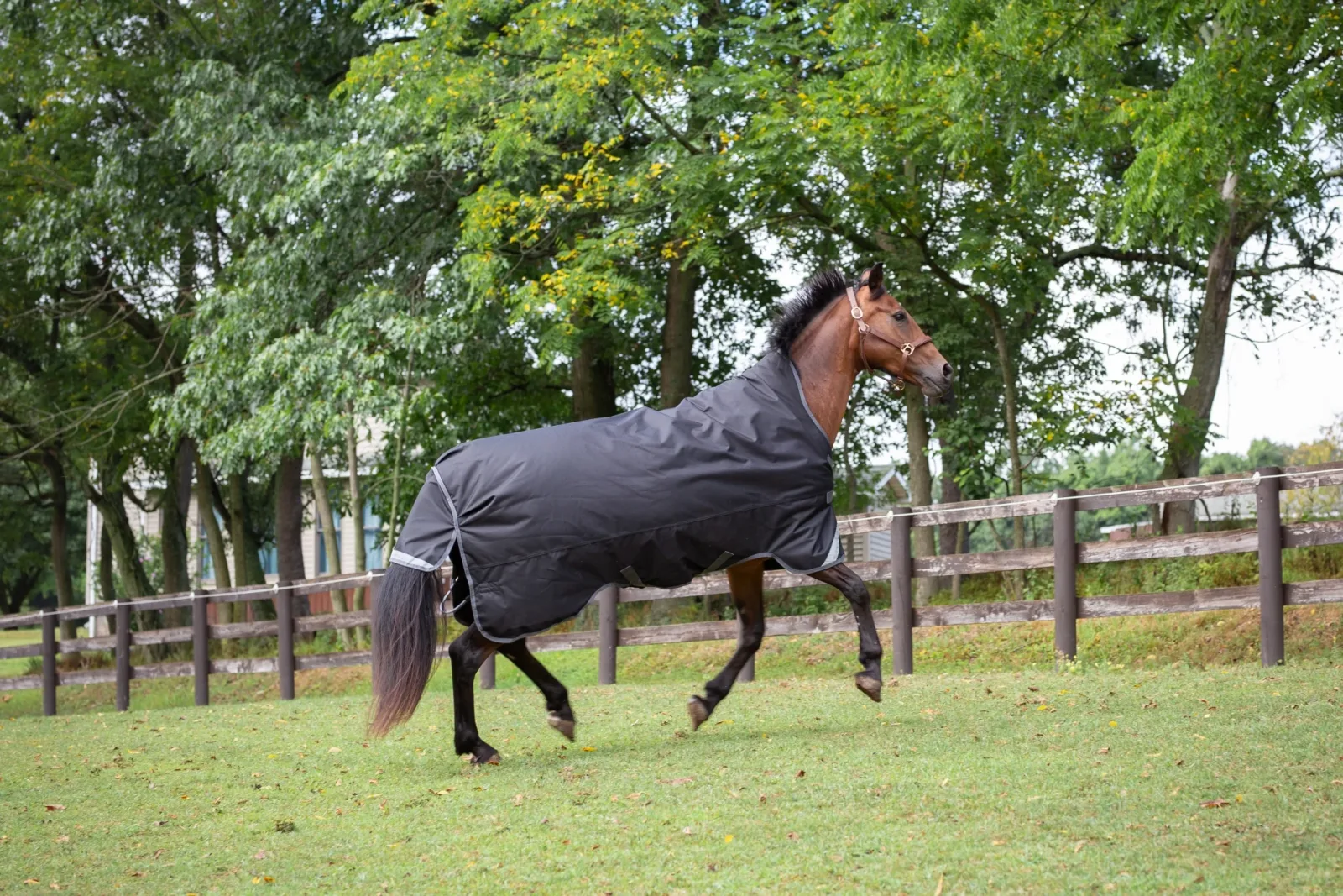 Defender Titanium 1200D High Neck Sheet - Image 2