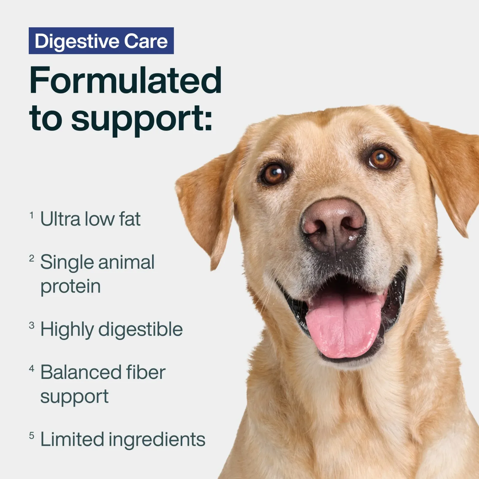 Digestive Care - Image 2