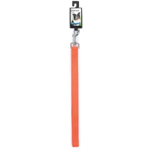 Digger's 1in Neon Nylon Lead 72in Orange
