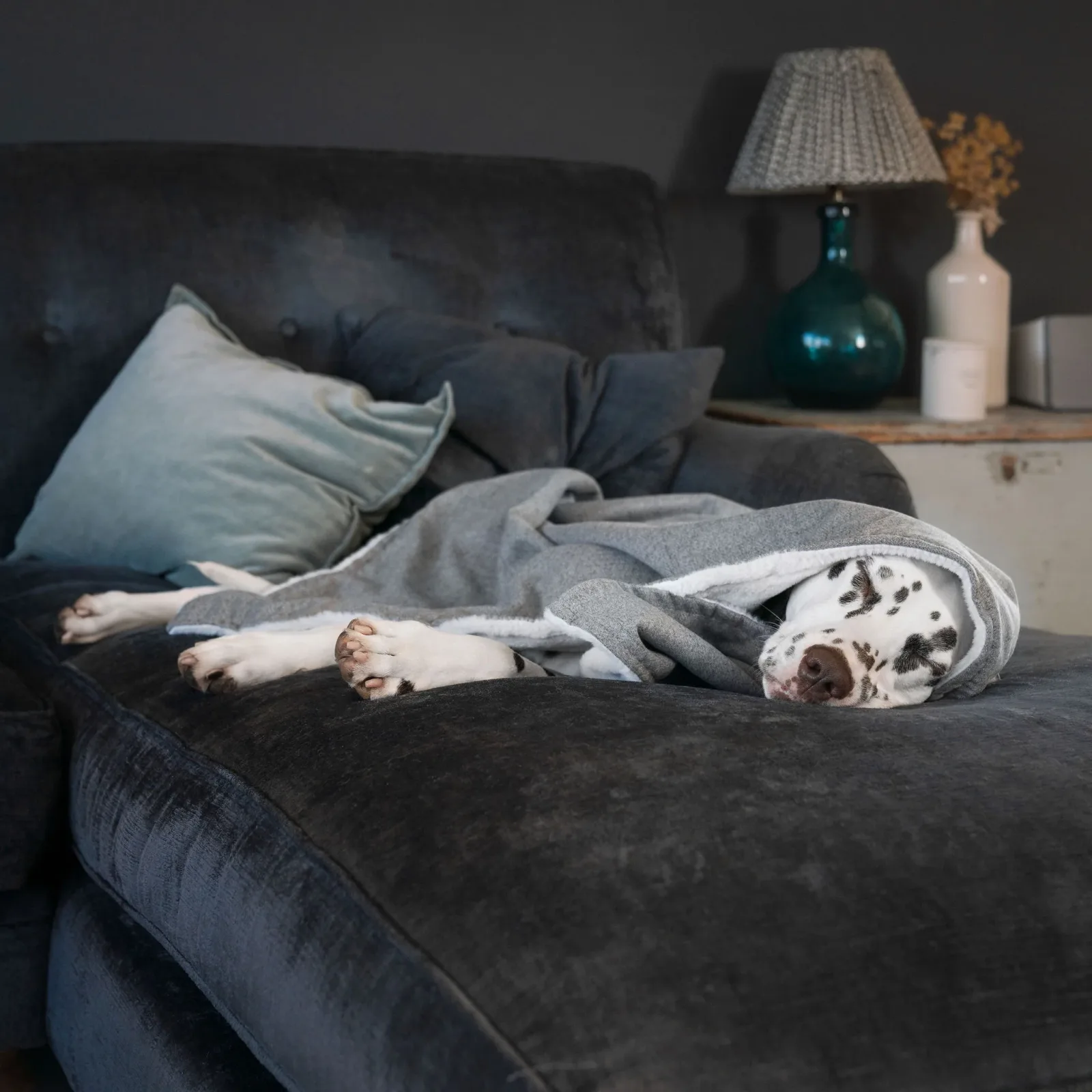 Dog & Puppy Blanket in Inchmurrin Ground by Lords & Labradors - Image 2