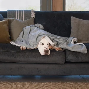 Dog & Puppy Blanket in Inchmurrin Iceberg by Lords & Labradors