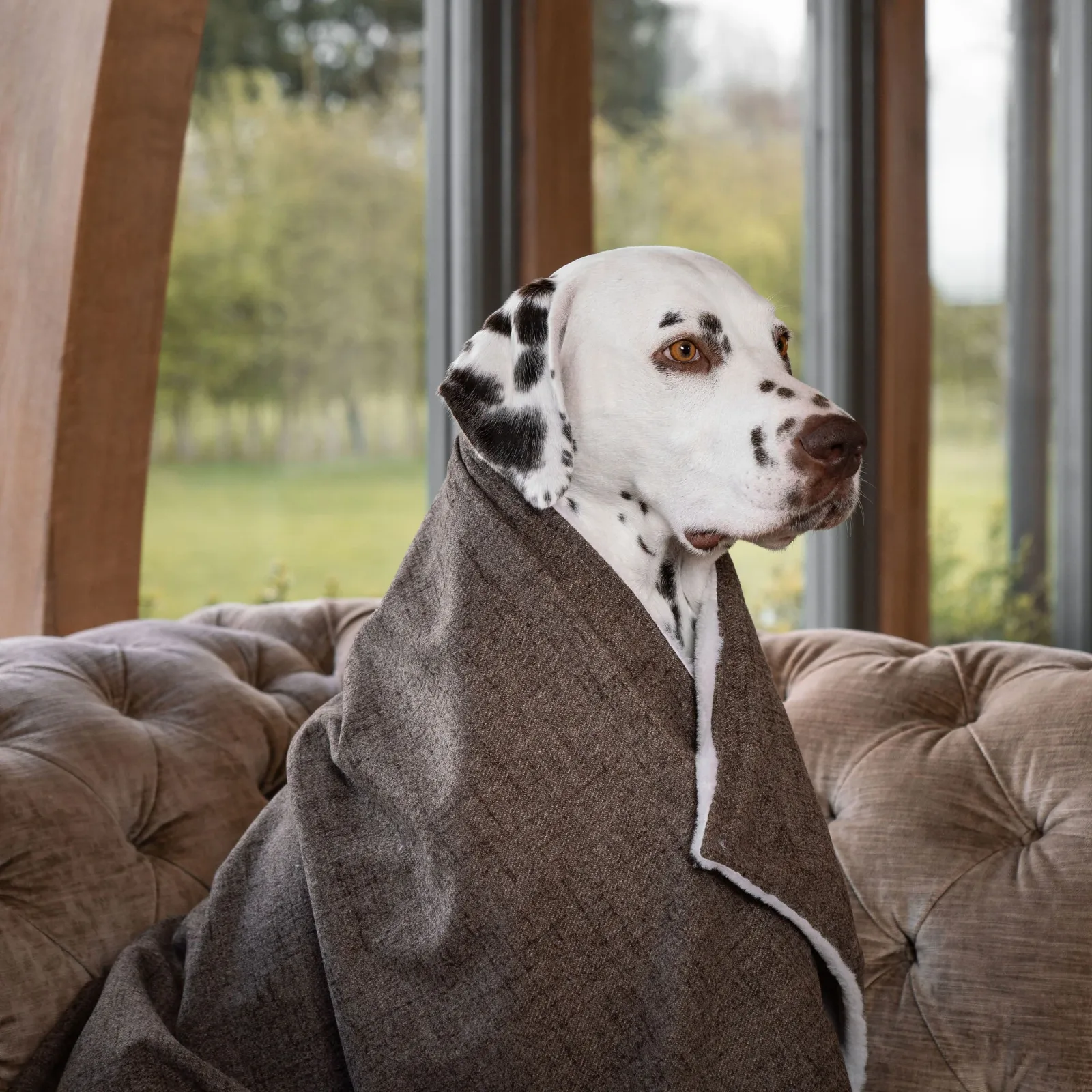 Dog & Puppy Blanket in Inchmurrin Umber by Lords & Labradors - Image 2