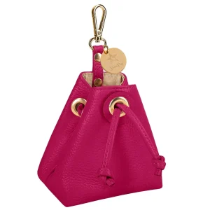 Dog Treat Bag