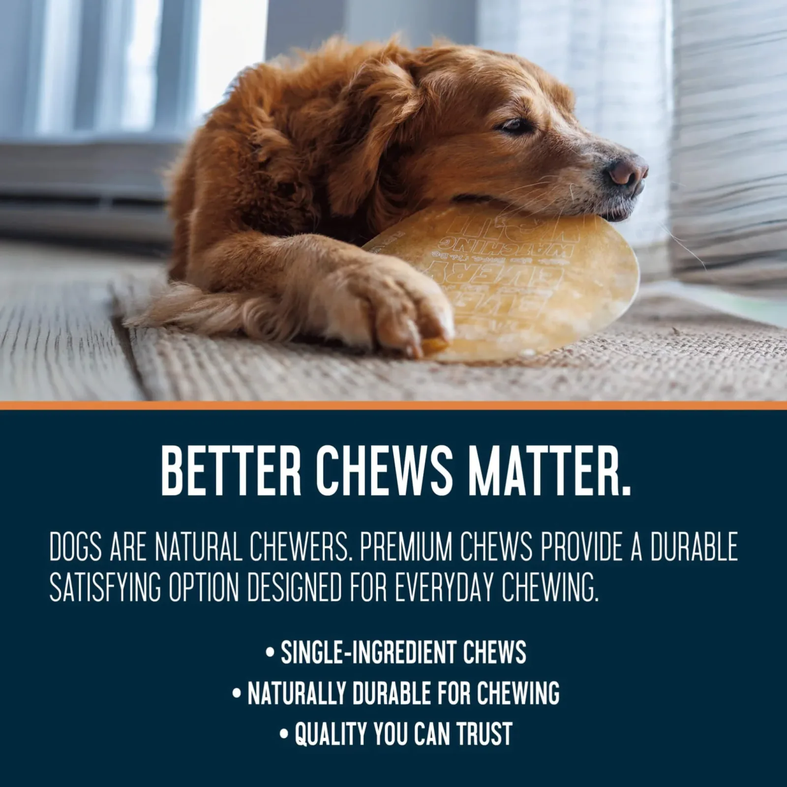 Dogginstix Beef Collagen UFO Dog Chew - Image 2