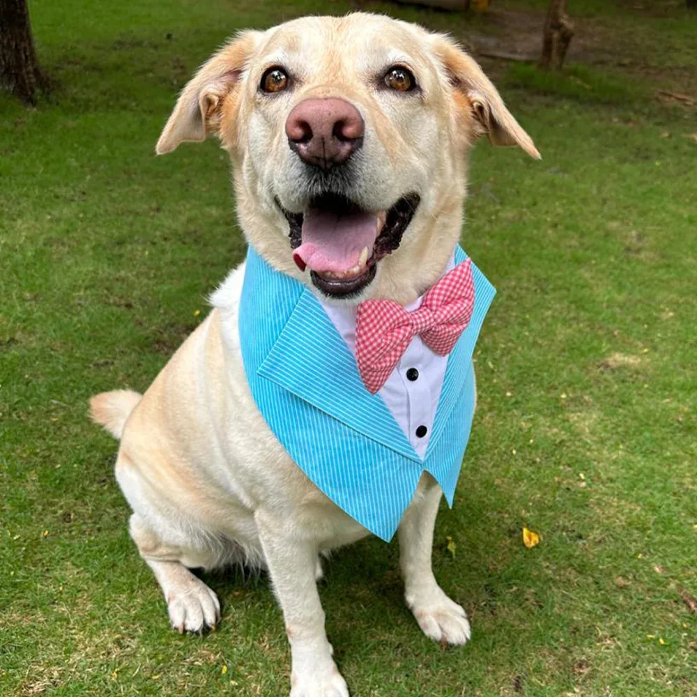 Dogobow Aqua Stripe Tuxedo Vest Bandana for Dogs (Aqua Blue) (Get a Bow Free)