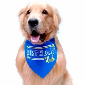 Dogobow Birthday Dude Scarf for Dogs (Royal Blue) (Get a Bow Free)