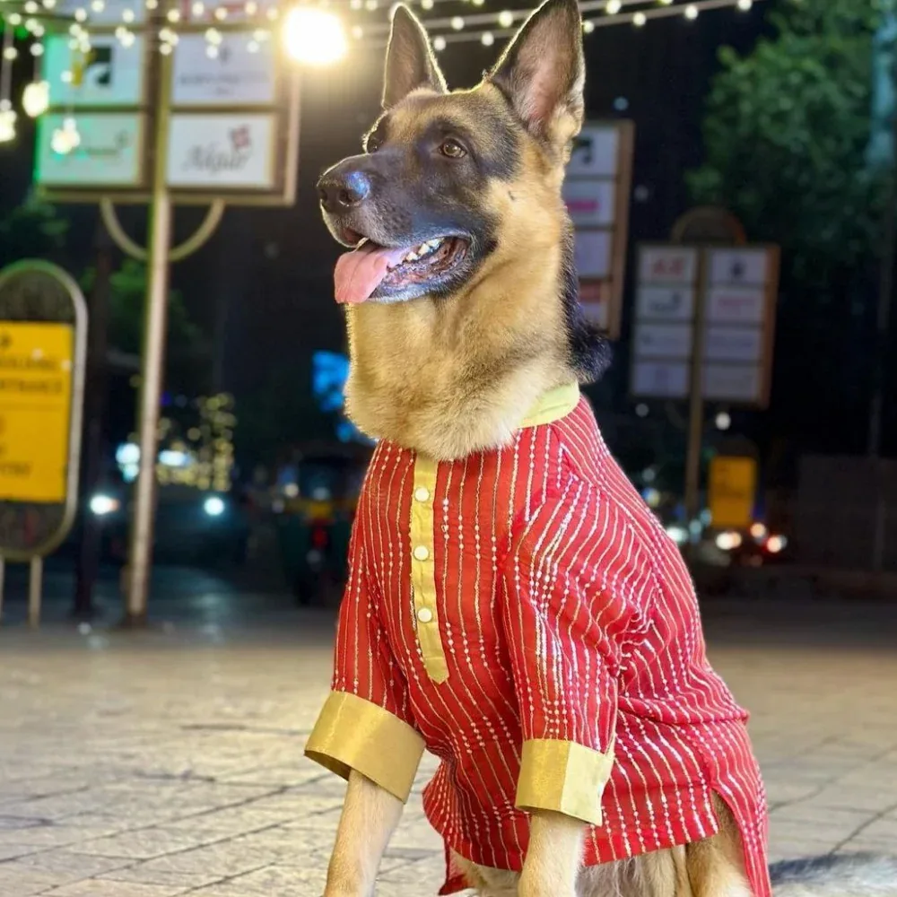 Dogobow Georgette Embroidered Kurta for Dogs and Cats (Red)