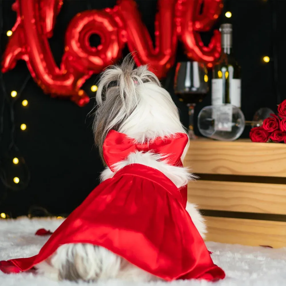 Dogobow Little Dress for Cats and Dogs (Red)