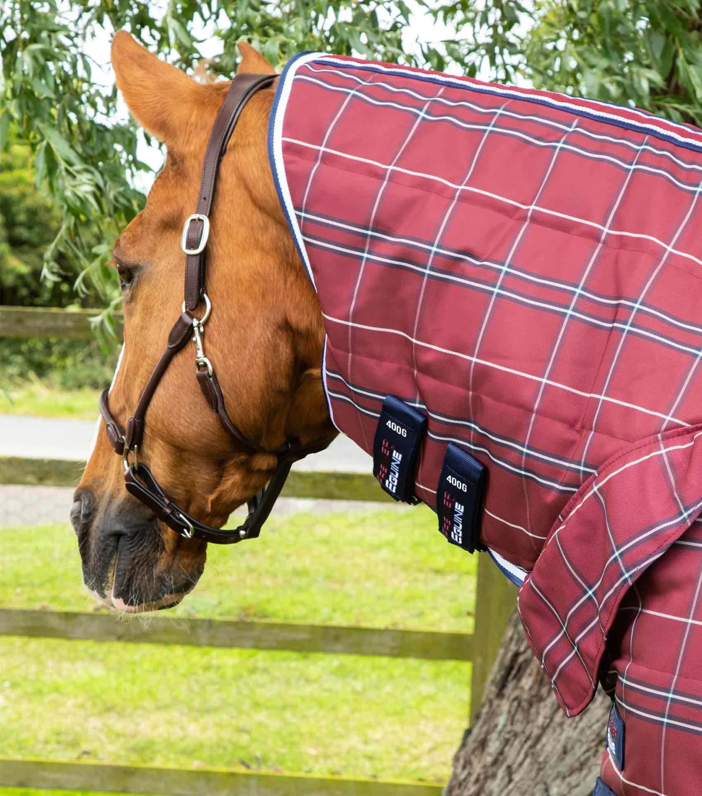 Domus 400g Combo Stable Rug Burgundy Check - Image 2