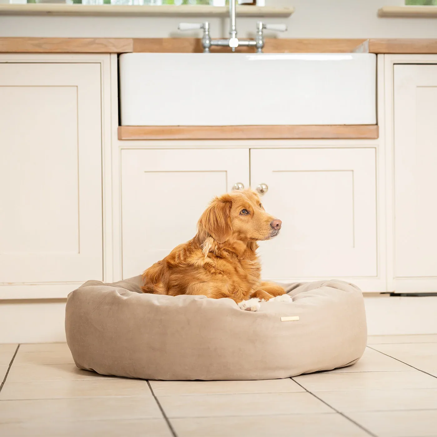 Donut Bed With Removable Covers in Clay Velvet by Lords & Labradors - Image 2