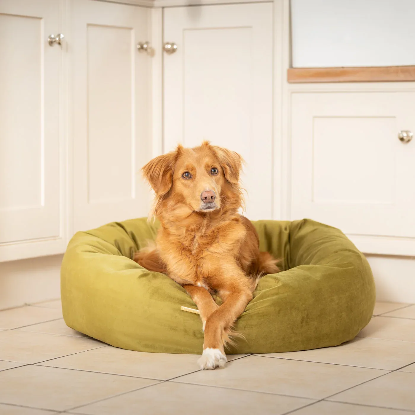 Donut Bed With Removable Covers in Olive Velvet by Lords & Labradors - Image 2