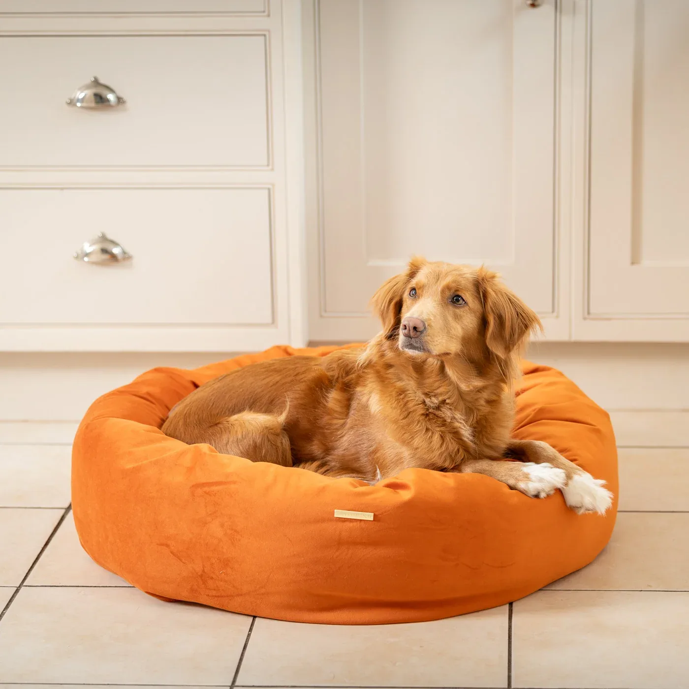 Donut Bed With Removable Covers in Pumpkin Velvet by Lords & Labradors