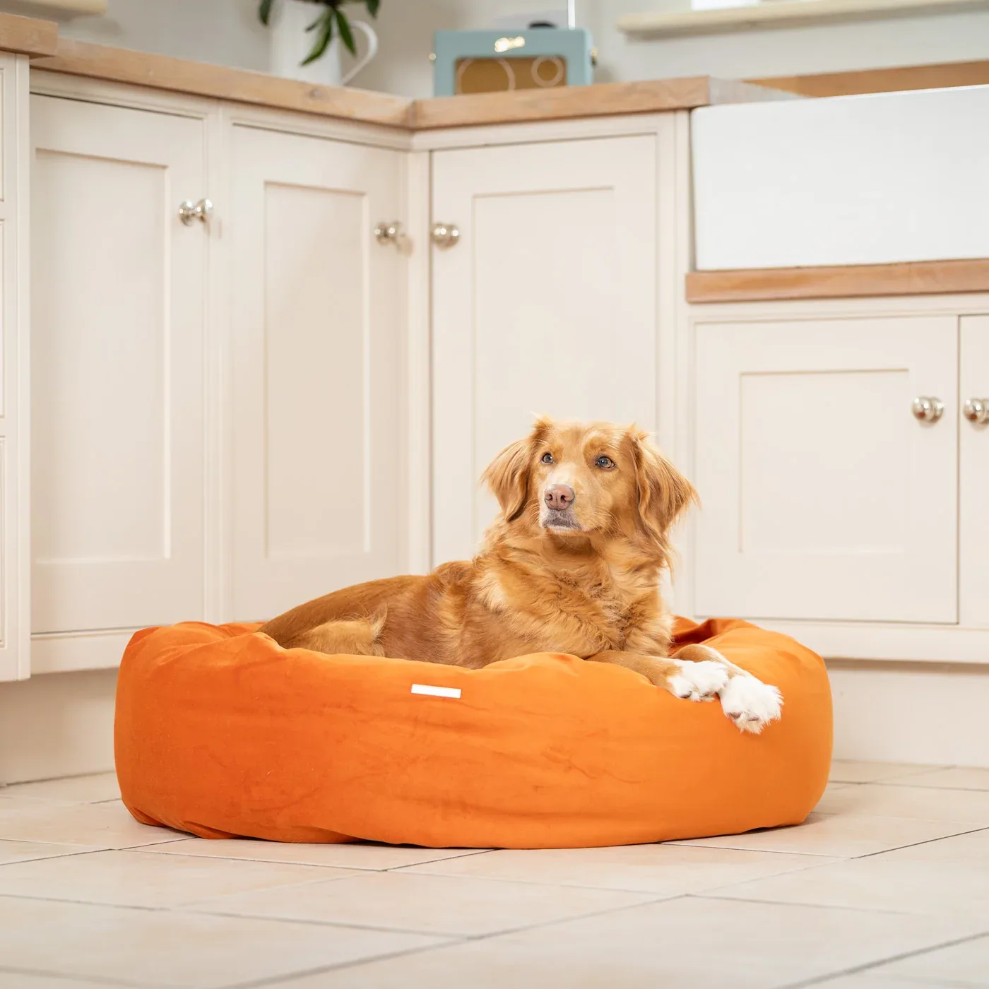 Donut Bed With Removable Covers in Pumpkin Velvet by Lords & Labradors - Image 2
