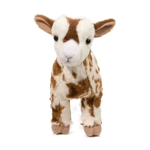 Douglas Gerti Goat