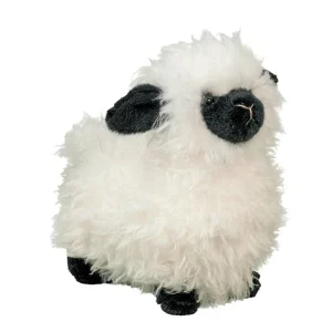 Douglas Shiloh The Sheep