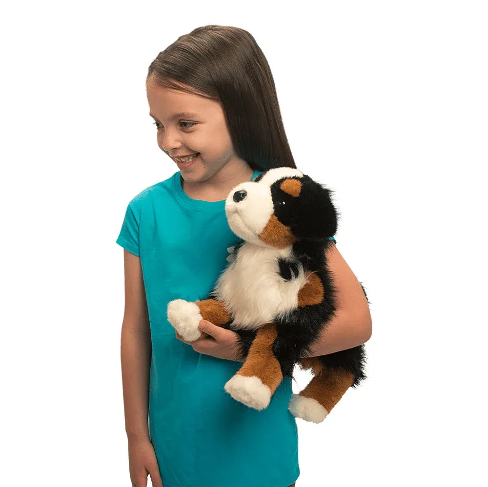 Douglas Trevor Bernese Mountain Dog - Image 2