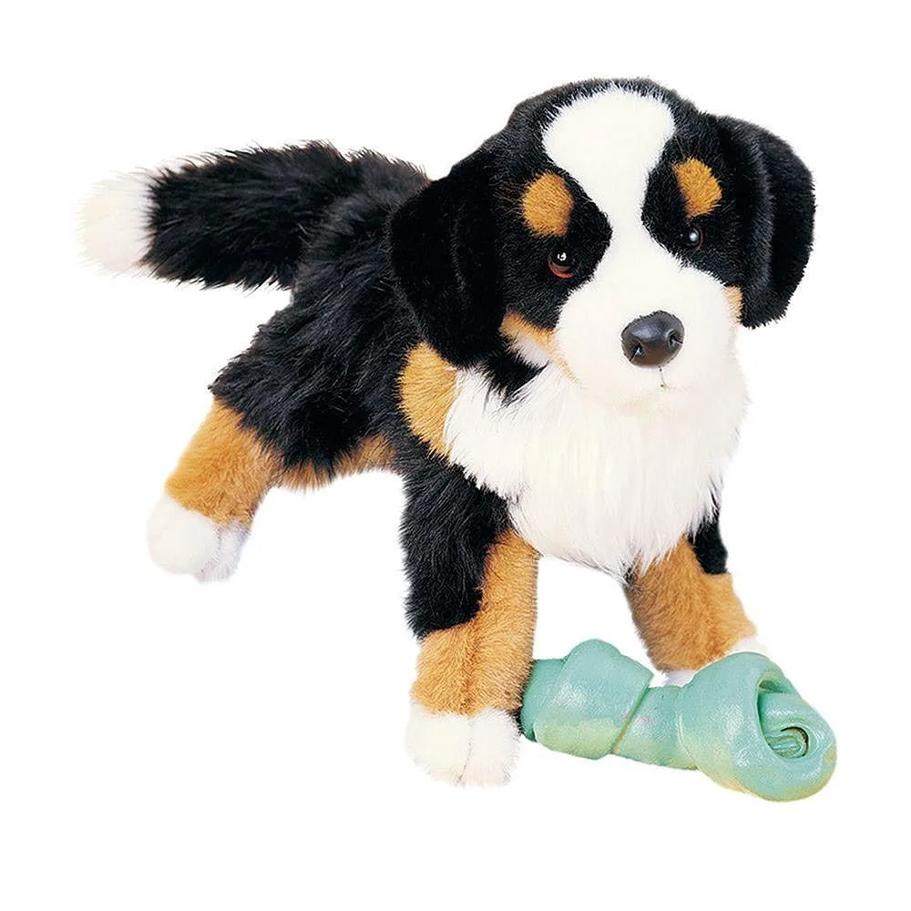 Douglas Trevor Bernese Mountain Dog