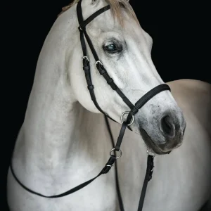 Dr. Cook's Beta BitlessBridle™