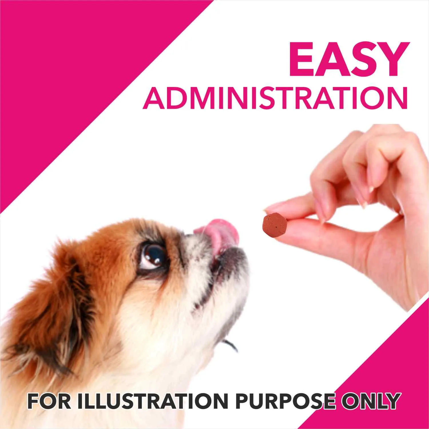 Drools Absolute Skin & Coat and Absolute Calcium Supplement Tablets for Dogs Combo - Image 2