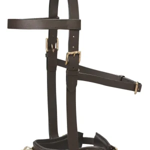 DS Leather Lunge Caveson