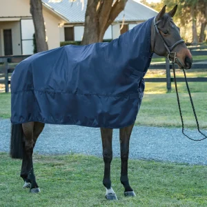 DS Rain Sheet