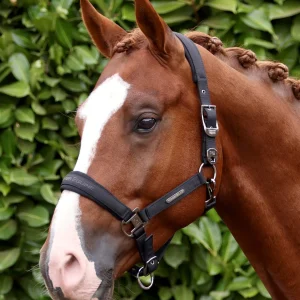 Duco Padded Head Collar With Lead Rope Black