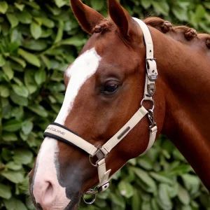 Duco Padded Head Collar with Lead Rope Taupe