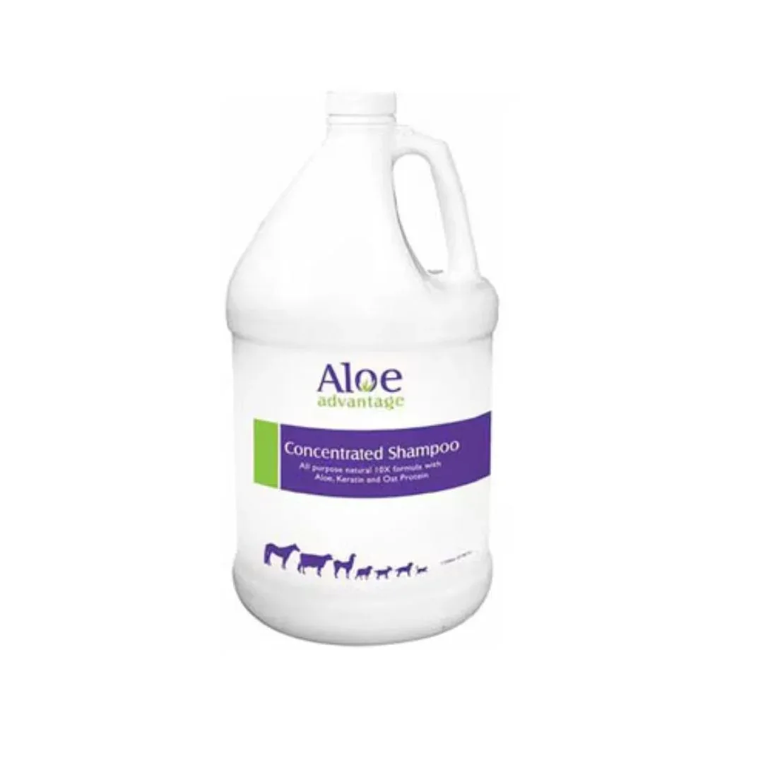 Durvet Aloe Concentrated Shampoo with Aloe Gallon - Image 2