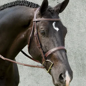 Dy'on® Wide Nose Hunter Bridle