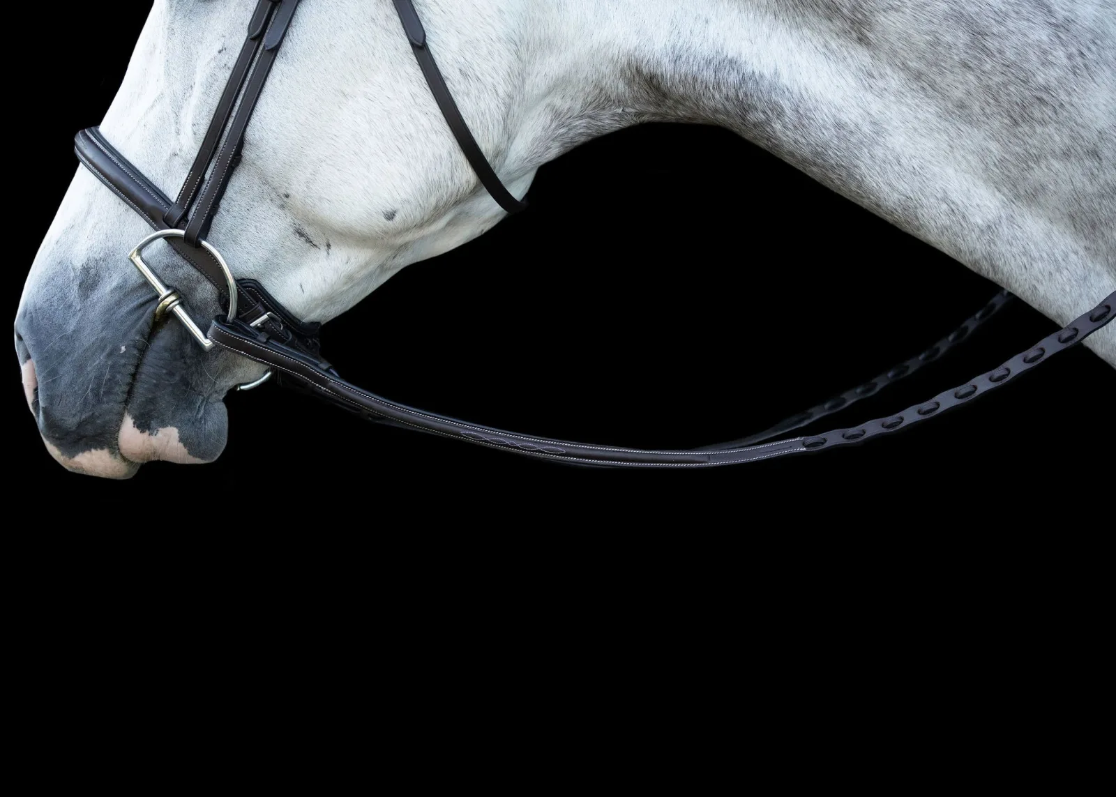 Ehi ProSeries Perfect Reins - Image 2