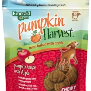 Emerald Pet Pumpkin Harvest Oven Baked Dog Treats with Apple
