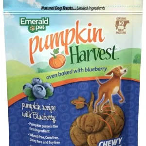 Emerald Pet Pumpkin Harvest Oven Baked Dog Treats with Blueberry